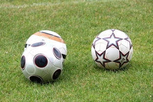 开云官网APP下载-未来足球市场：数字资产与足球产业的融合，足球概念数字货币